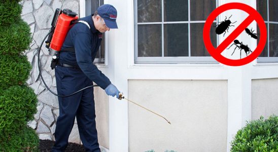 Mudanya Bit İlaçlama böcek ilaçlama ve haşere kontrolü — ilaclama-tr.com